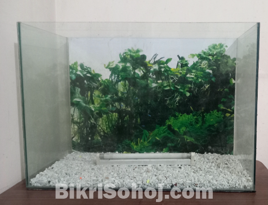 2 FEET AQUARIUM